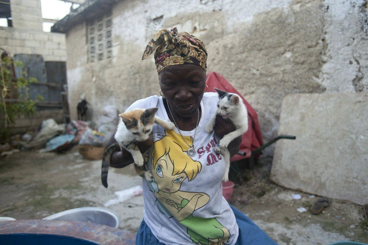 Chase Geiser tweet media