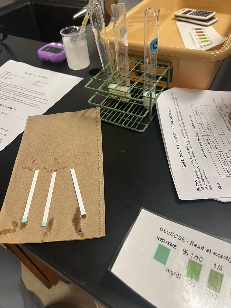 AACPS Office of Science (@aacps_science) on Twitter photo What sugars are in whole milk? <a href="/AnnapHS_AACPS/">Annapolis High School</a> biology students found out how enzymes work to break large sugars into small sugars 🥛 What sugars are in whole milk? <a href="/AnnapHS_AACPS/">Annapolis High School</a> biology students found out how enzymes work to break large sugars into small sugars 🥛