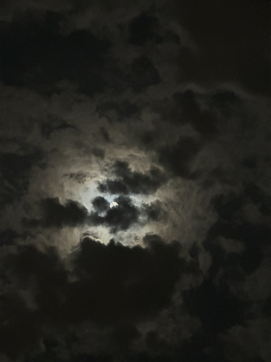 idawodv's tweet photo. "تأمُّل، سلام، طُمأنينة، وليلة قمرّية فاتِنة." 🌿🌕🕊️ https://t.co/es6ISXef1a