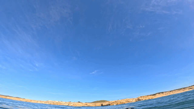Dreamy to horror reddit.com/r/surfing/comm…