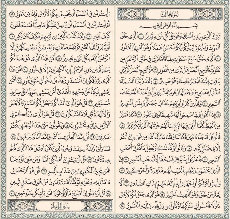 سورة الملك خلها على حسابك 🤍