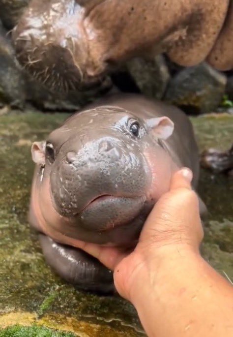 Complex Pop Culture tweet media