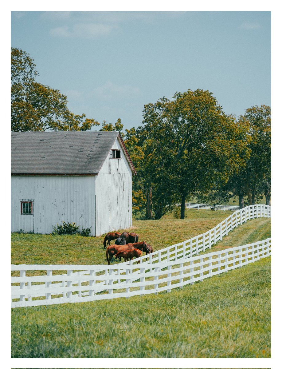 Late summer in Kentucky, by <a href="/75toRupp/">Owen</a>