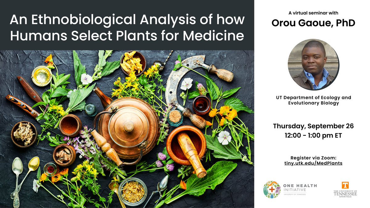 UTOneHealth's tweet image. Tune in next Thurs to hear @UTK_EEB professor Orou Gaoue present "An Ethnobiological Analysis of how Humans Select Plants for Medicine." Register via Zoom at tiny.utk.edu/MedPlants.