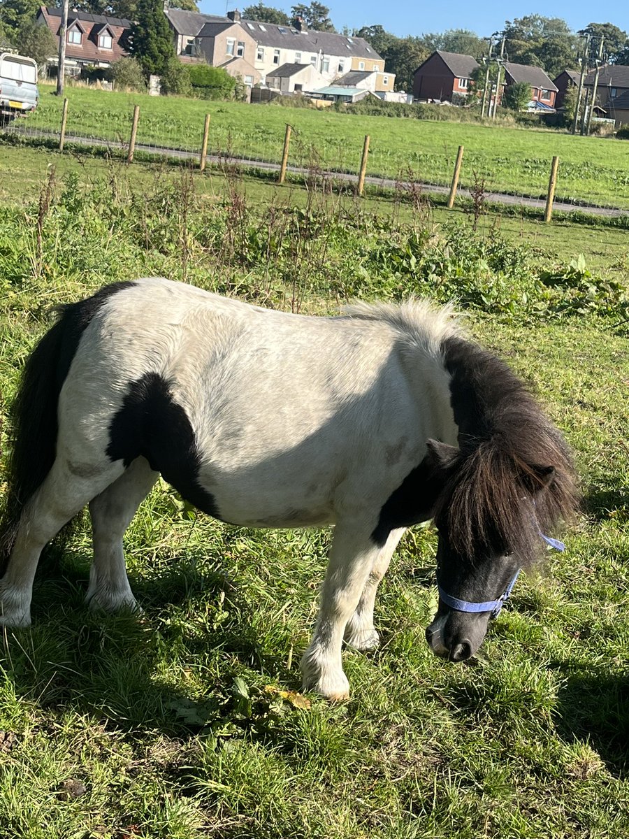 Megan Prentice 💙 tweet media