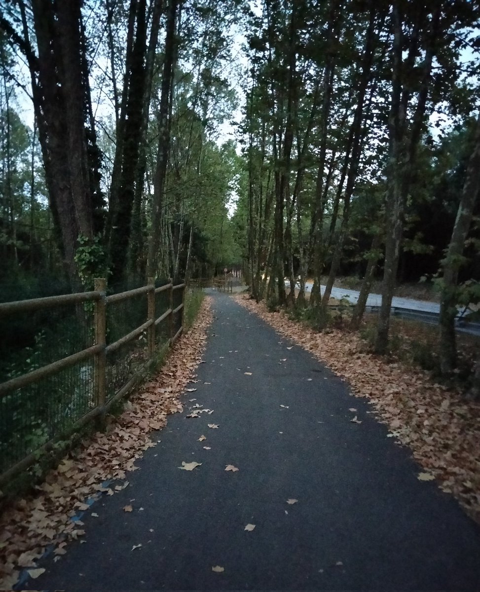 galarza_yaneth's tweet photo. @mephisto2102101 Buenas noches Mephisto ✨ 
vivo en un pueblo,al frente tengo las montañas del Montseny, donde voy a caminar, tomo fotos , escucho,la sinfonía de los pájaros,soy muy feliz.
Es la foto de tu princesita?
🫠😊.
Hasta mañana mi querido amigo.
Hoy si te siento feliz.
Cuidate 🙏✌️🎧🤍 https://t.co/ekhTjcne7w
