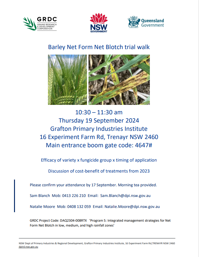 NSW Agronomy (@nsw_agronomy) on Twitter photo 📅TRIAL WALK: This THURSDAY, 19th 📅
⏰Short & sweet: 10.30-11.30 am
🌱....Grafton, it's your turn to see the excellent trial work into barley in your backyard!
<a href="/theGRDC/">GRDC</a> <a href="/GRDCNorth/">GRDC North</a> <a href="/UniofQld/">Uni of Queensland</a> #barley #NFNB <a href="/_Ben_Ovenden/">Ben Ovenden</a> <a href="/s_simpfendorfer/">Steven Simpfendorfer</a> 📅TRIAL WALK: This THURSDAY, 19th 📅
⏰Short & sweet: 10.30-11.30 am
🌱....Grafton, it's your turn to see the excellent trial work into barley in your backyard!
<a href="/theGRDC/">GRDC</a> <a href="/GRDCNorth/">GRDC North</a> <a href="/UniofQld/">Uni of Queensland</a> #barley #NFNB <a href="/_Ben_Ovenden/">Ben Ovenden</a> <a href="/s_simpfendorfer/">Steven Simpfendorfer</a>