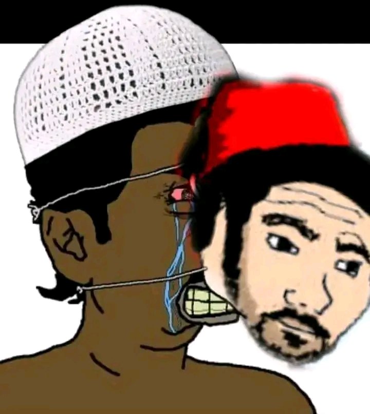 The Crazy (@voiceofhindu71) on Twitter photo 