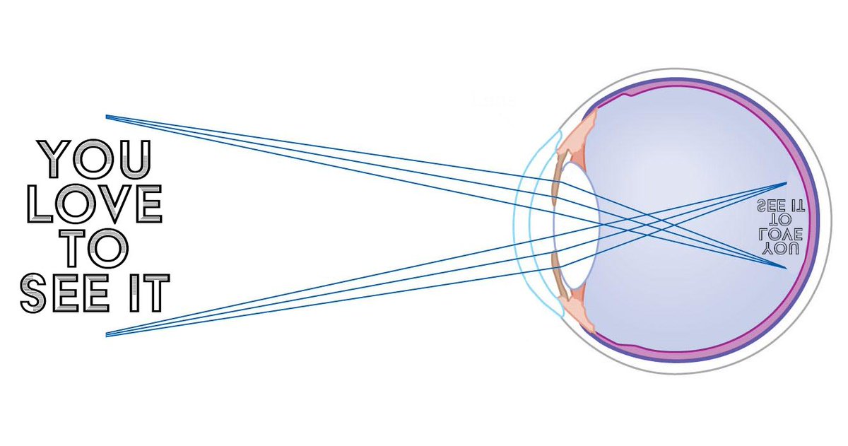 Hello! I rebranded my blog to "You Love To See It" and wrote a post explaining why. 

I also blogged about <a href="/MNightShyamalan/">M. Night Shyamalan</a>'s "Trap," <a href="/okgo/">OK Go</a> videos, and other stuff I like! Check it out and subscribe please. I think it's gonna be a good newsletter!

iamtherog.substack.com/p/rebranding-i…