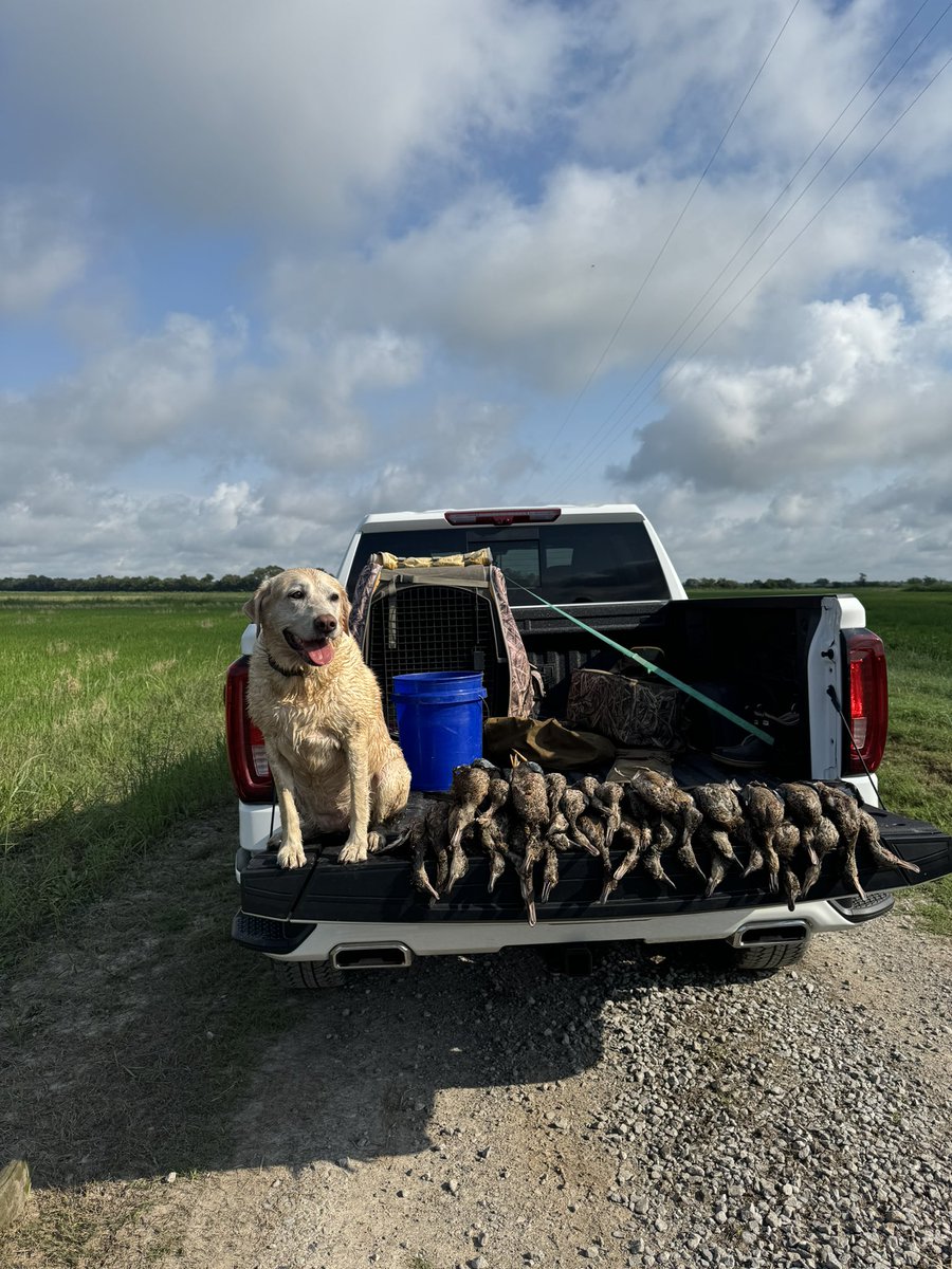 Connor Webster tweet media