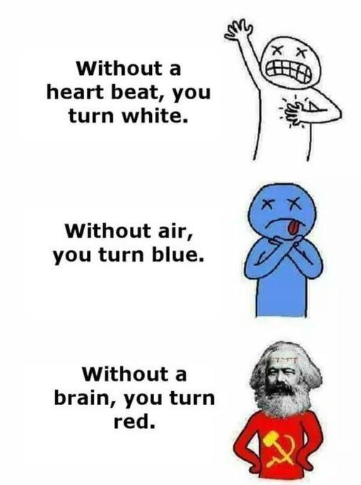 DucuGavril's tweet image. #Edumacation #NAFO