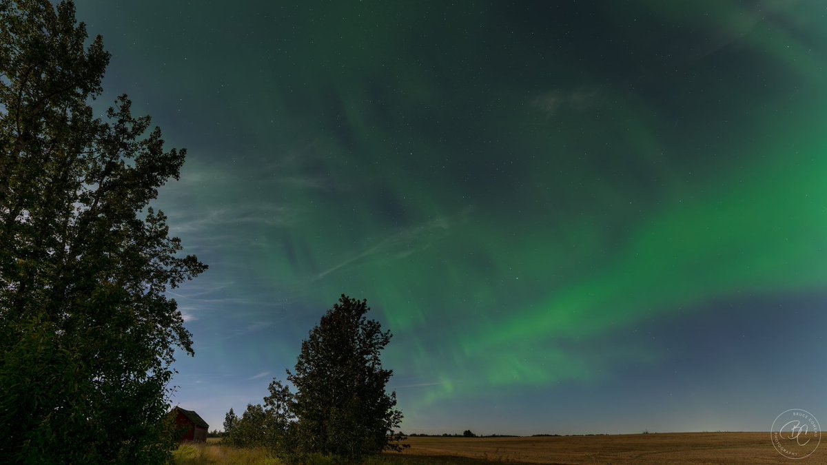 Bruce D. Comeau tweet media