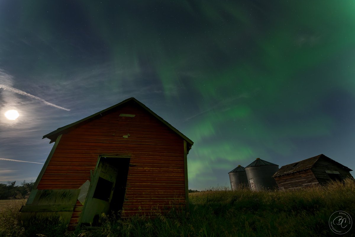 Bruce D. Comeau tweet media