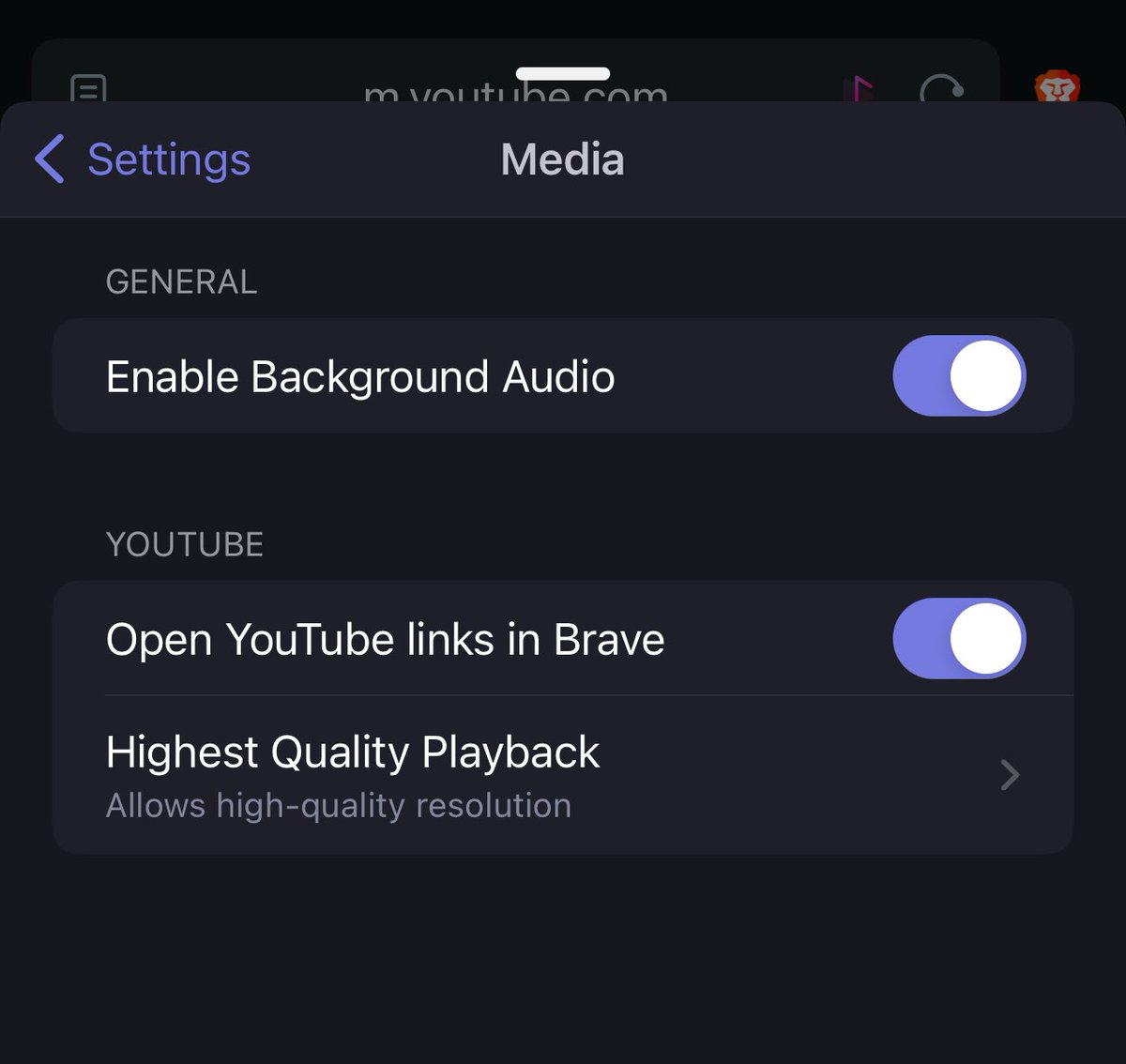 theNoozDotXYZ's tweet photo. You donโt love @brave browser mobile enough, and you should know they hate YouTube as much if not more than you.
๐ฆ #FTW Give these trailblazer a try!
#BackgroundAudio <โ
while I type this. ๐ https://t.co/olOKWmDU3a