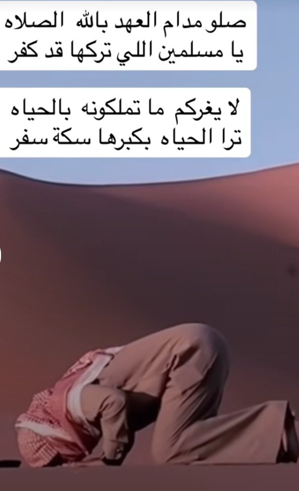 ٠ tweet media