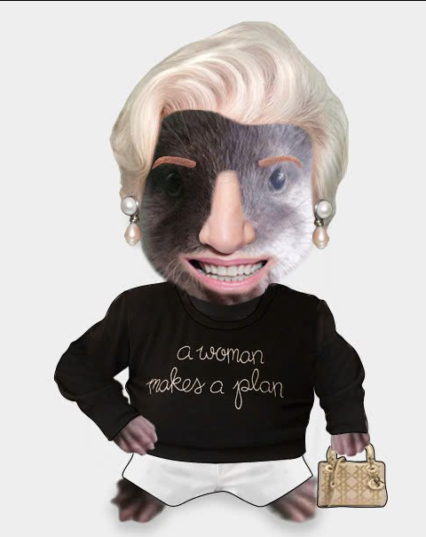 chitan_otter's tweet photo. 👝Looking fabulous isn't easy... but it's a lot easier when #Chitan is funding it!

What do you think @mayemusk? https://t.co/0dh32HRmSy