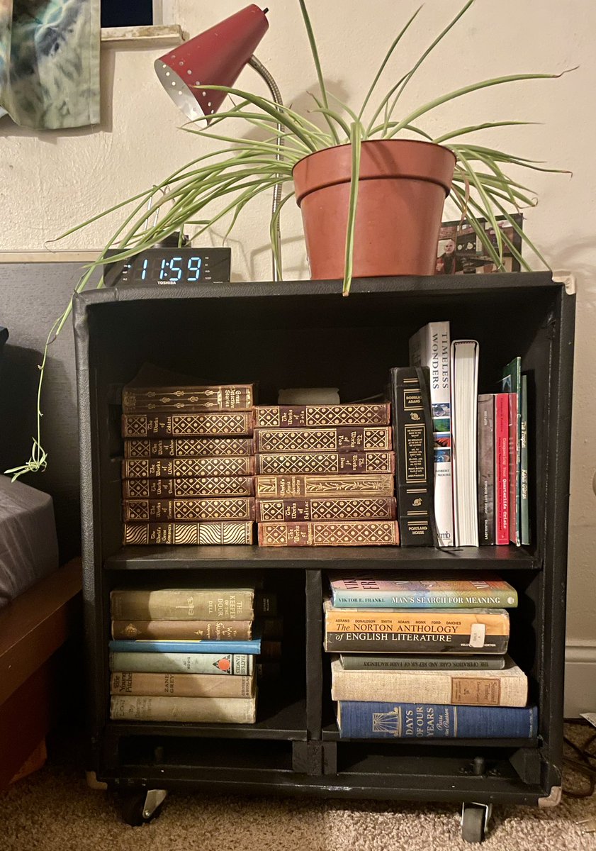 Tried for over a year to sell this bass cab. Not even the used music gear store would take it so I turned it into a bookshelf!
