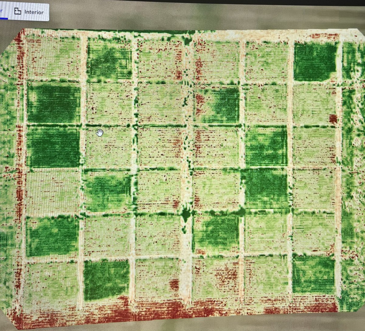 Dan Quinn (@purduecorn) on Twitter photo Care to take a guess on which plots received fungicide?
<a href="/ACRE_Purdue/">ACRE Purdue</a> <a href="/PurdueAgronomy/">Purdue Agronomy</a> <a href="/PurdueAg/">Purdue Agriculture</a> Care to take a guess on which plots received fungicide?
<a href="/ACRE_Purdue/">ACRE Purdue</a> <a href="/PurdueAgronomy/">Purdue Agronomy</a> <a href="/PurdueAg/">Purdue Agriculture</a>