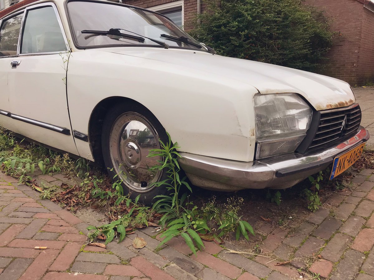 Maurice Backerra tweet media