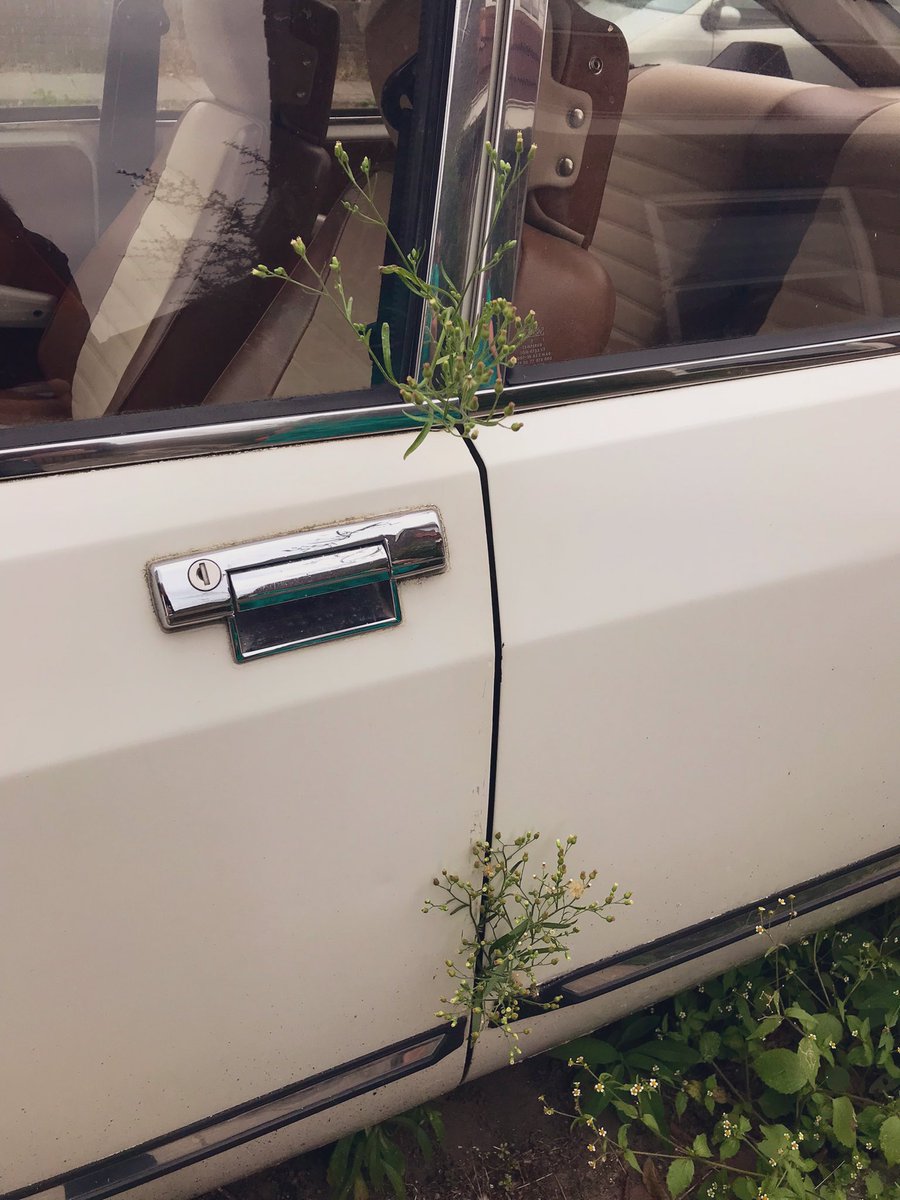 Maurice Backerra tweet media