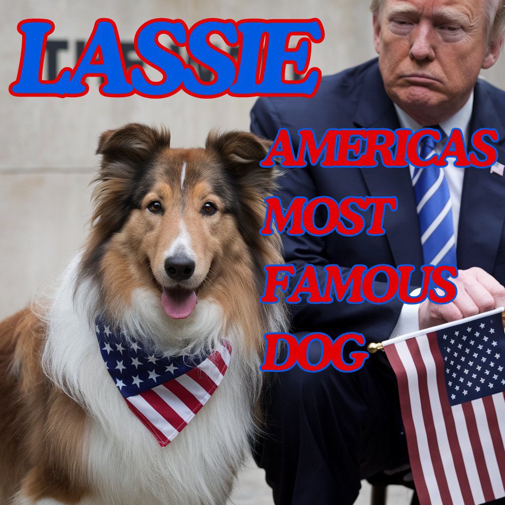 Dominus_Crypto's tweet photo. @moneymancalls Sundog is cool. But lassie is the OG dog!

0xC8996BFE355C348f6a68A72400055c3Da3d125b8 https://t.co/4fC1DMyUiu