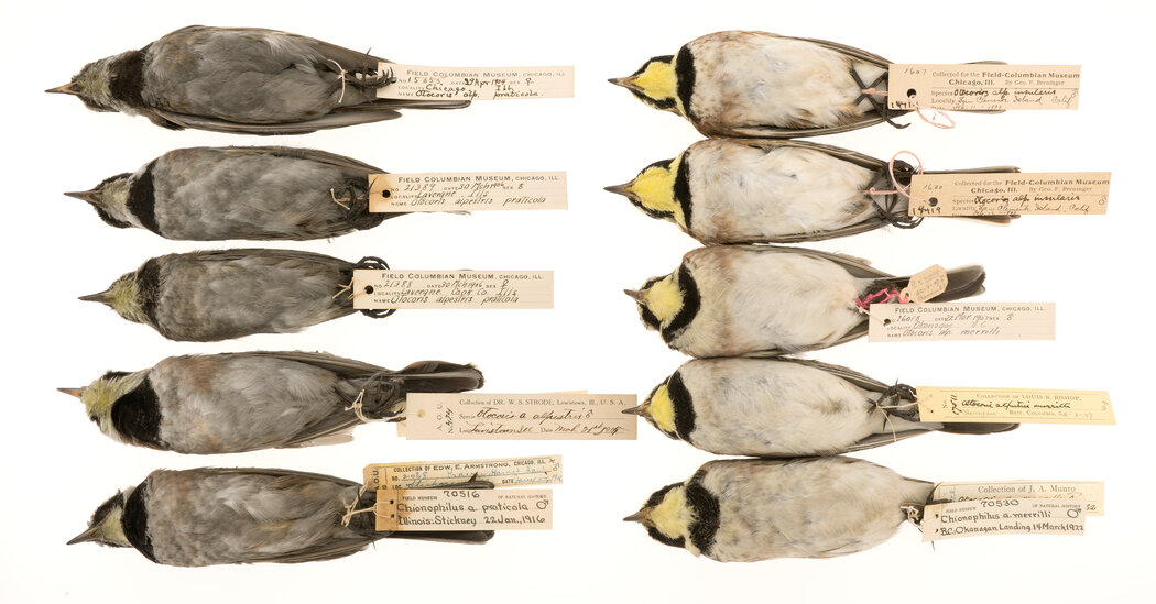 Brendan M. Lynch 🌻 tweet media