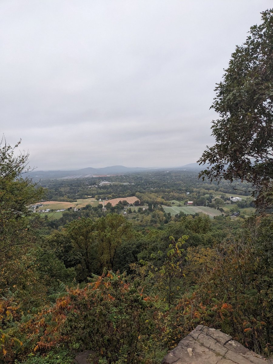 BIG RICH X tweet media