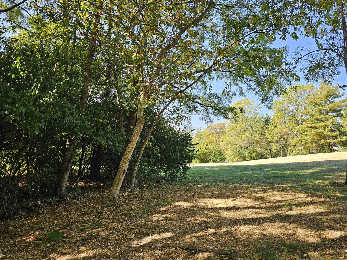 Crunchy_DG tweet media