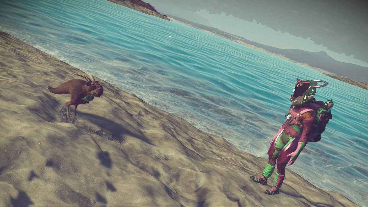 Goat Dino mix?? I dunnoooo.. super cute! 
#nomansskynext #playstation4 
 <a href="/NoMansSky/">Sean Murray</a>
#game #gamer #games #allthegames #nomansskygame #nomanssky #videogame #videogamescreenshot #screenshot #nomansskyphotography #animal #animalcompanion #companion #newfriend