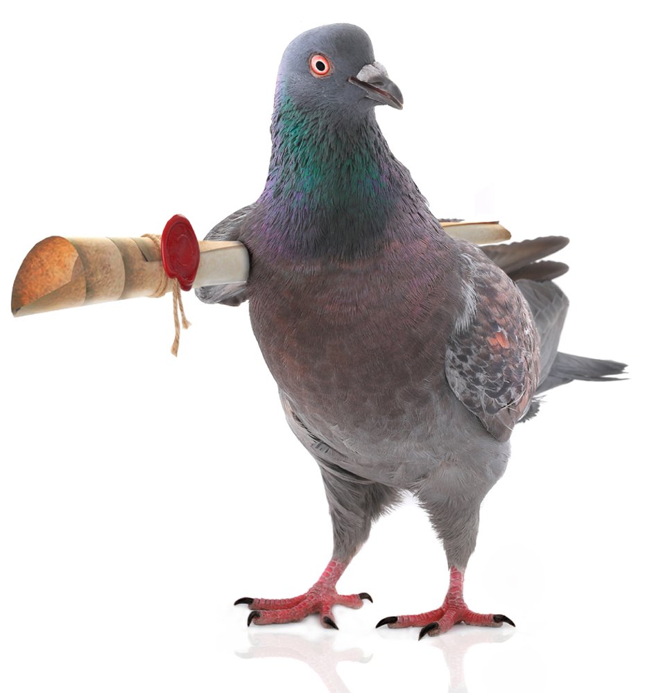Je ressors mon 3310 !
On n'est plus jamais sûr de rien. Entre les backdoors des firmwares des constructeurs, les logiciels espions et à présent les explosifs, autant se faire une raison et revenir  au 3310 pour les appels et les pigeons voyageurs pour les SMS.