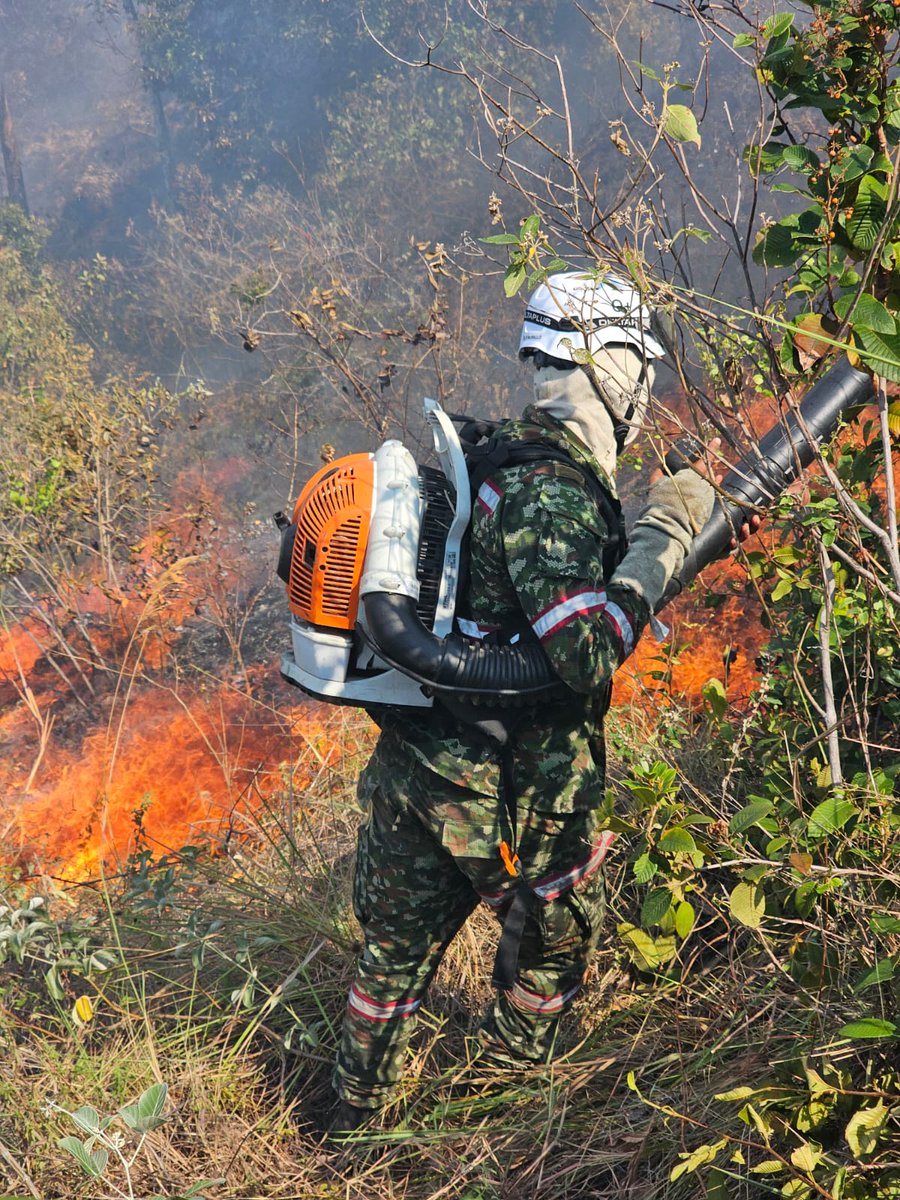 Ingenieros_EJC's tweet image. La Brigada de Atención y Prevención de Desastres trabaja desde muy temprano en Natagaima, #Tolima, apoyando labores de extinción del incendio forestal que se ha extendido sobre varias veredas y pone en riesgo la seguridad de resguardos indígenas de la zona. #ProtegemosLaVida