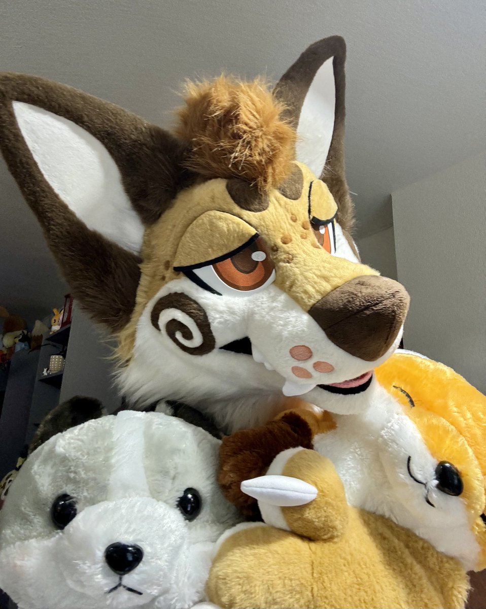 Foxtotss's tweet image. It’s national #foxday today and this cinnamon roll is ready to celebrate!!🦊