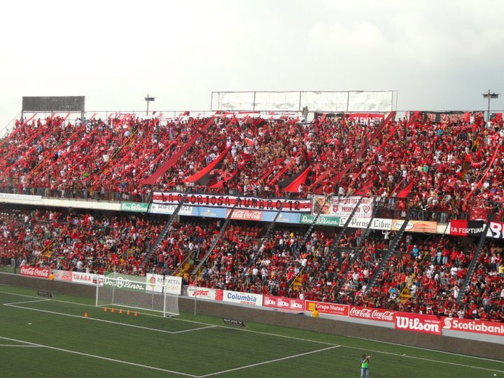 𓃵 ❤️🖤 tweet media