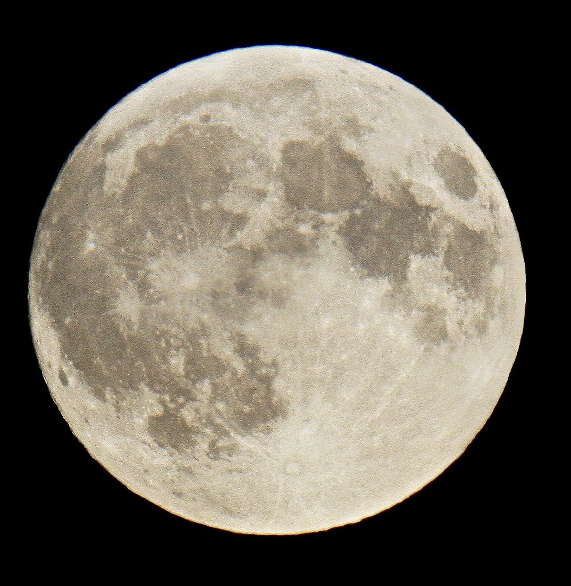 ribster13's tweet photo. #HarvestMoon #moon #fullmoon #2024 #septembermoon #ribster13 #wales #planets #moonphase https://t.co/eHRk3Y24uY