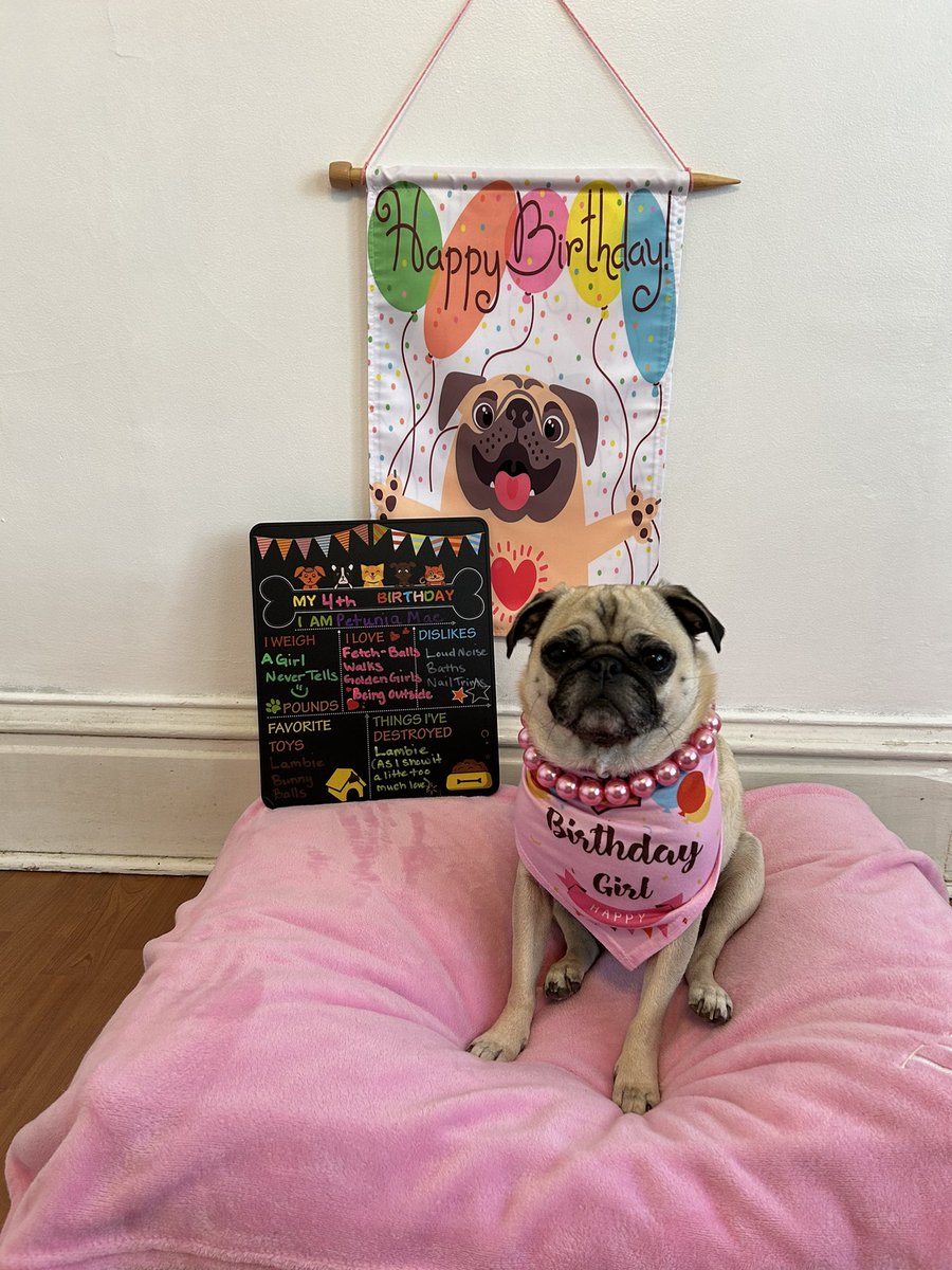 Lt. Petunia Mae Parker 🐷🐑 tweet media