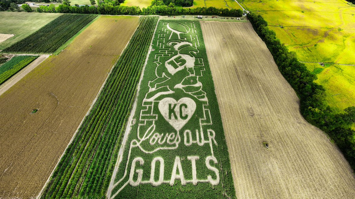 precisionmazes's tweet image. Happy Birthday to KC's favorite GOAT, @PatrickMahomes. We made you a little something. Hope you and @Chiefs fans will stop by Johnson Farms in Belton to enjoy it this fall!   #ChiefsKingdom