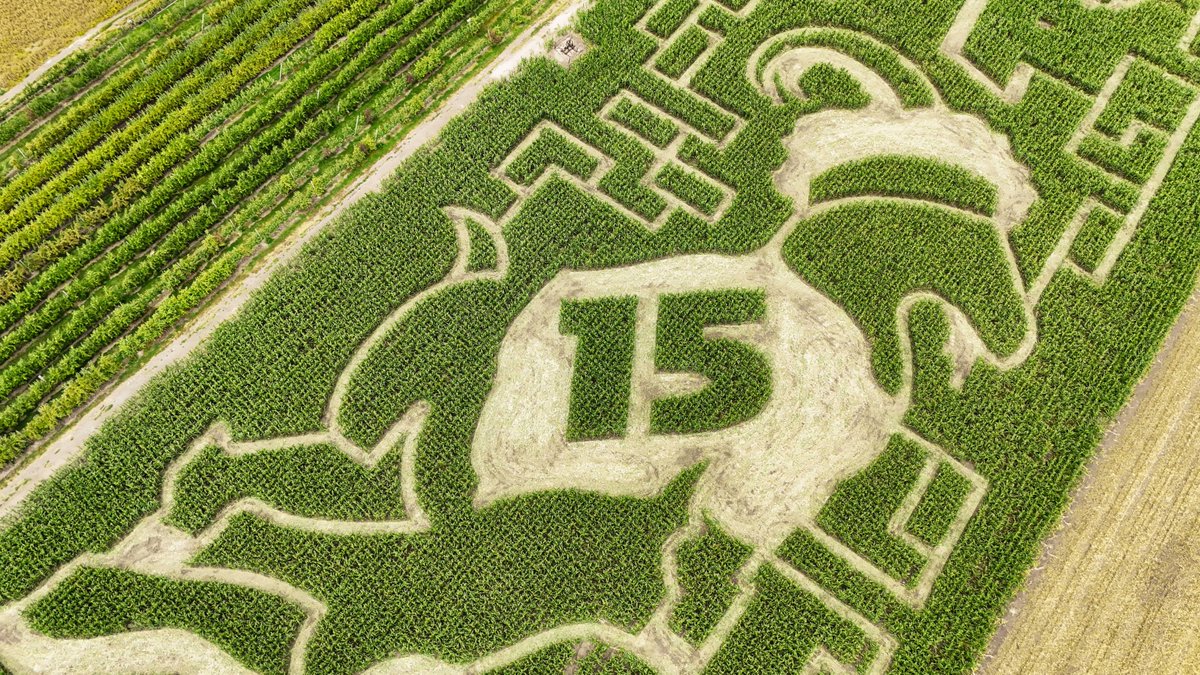 precisionmazes's tweet image. Happy Birthday to KC's favorite GOAT, @PatrickMahomes. We made you a little something. Hope you and @Chiefs fans will stop by Johnson Farms in Belton to enjoy it this fall!   #ChiefsKingdom