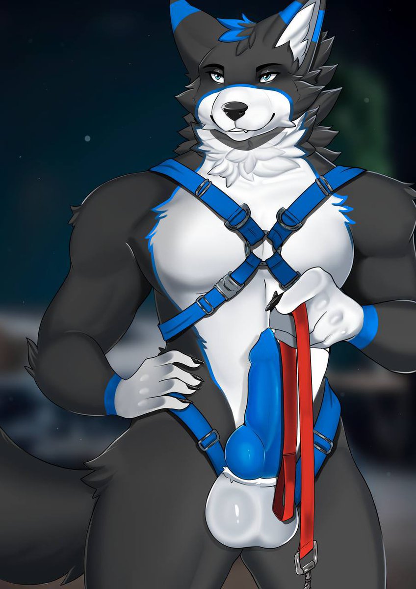 DeltaHusky ➡️ CF24 & FC24 tweet media