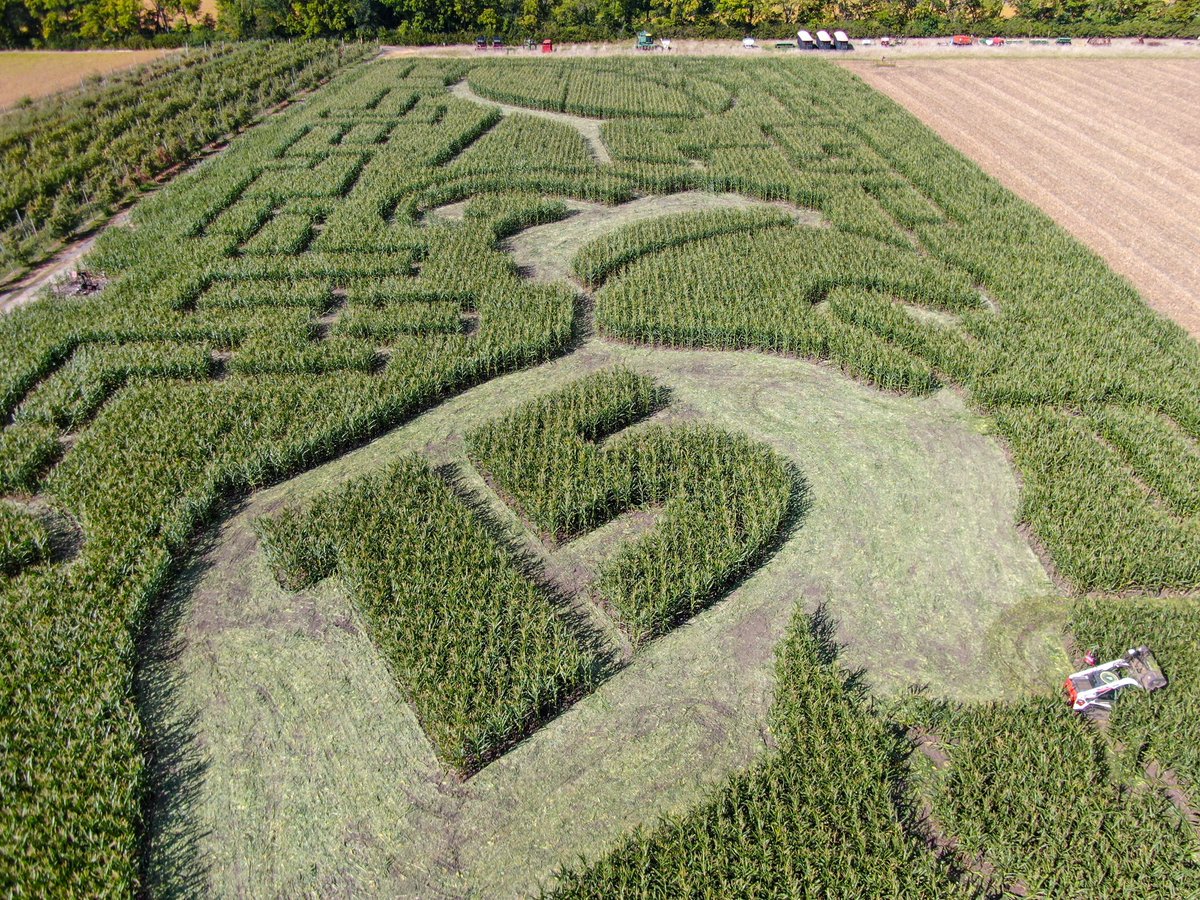 kctammy2009's tweet image. Larger-than-life Missouri corn maze by @precisionmazes celebrates GOATs and Kansas City Chiefs at Johnson Farms. 
kansascity.com/sports/nfl/kan…