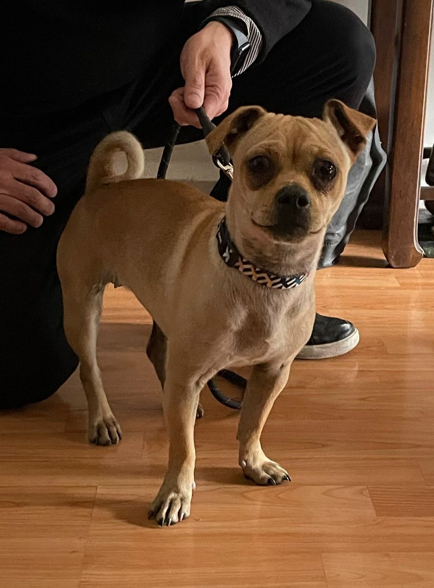 Plaza Rio De Janeiro tweet media