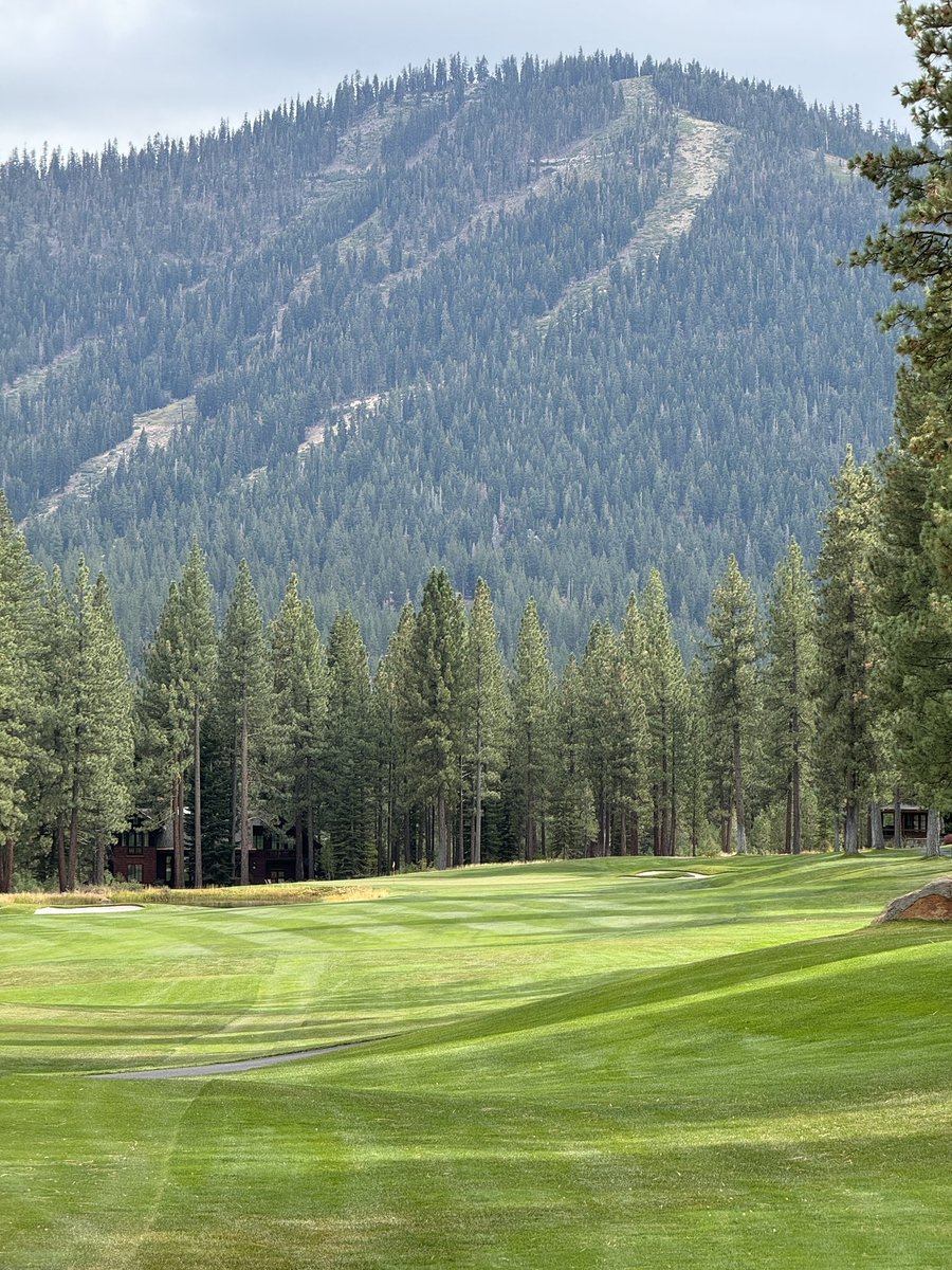 Nevada Men's Golf tweet media