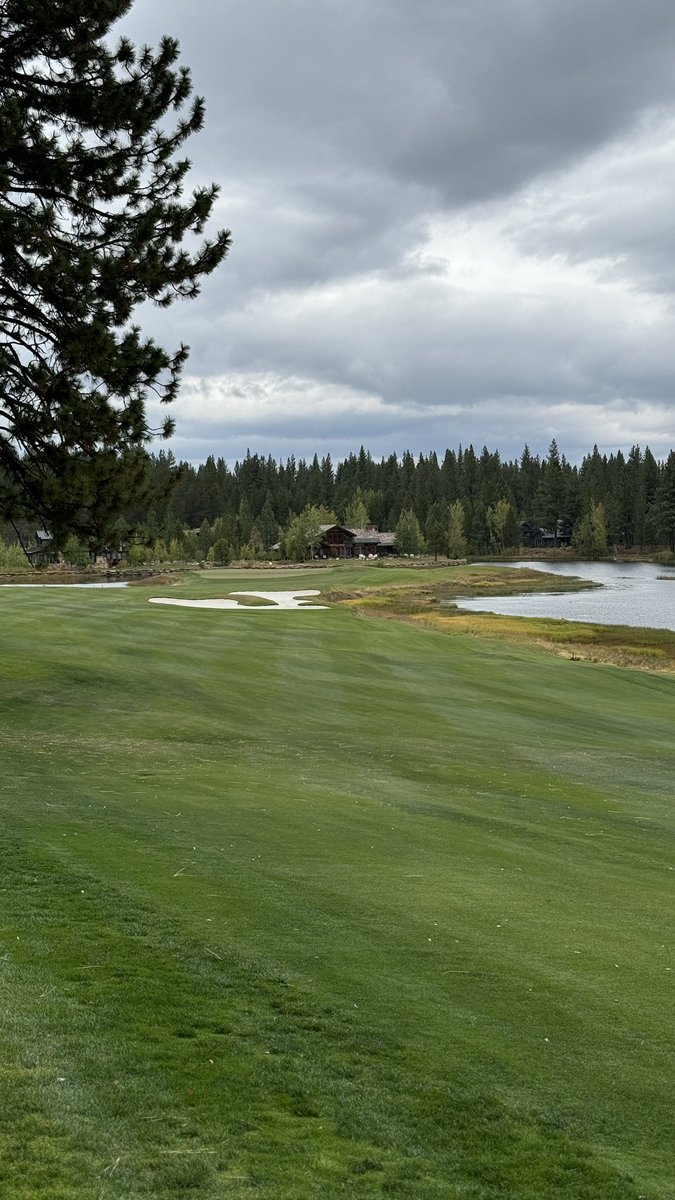 Nevada Men's Golf tweet media