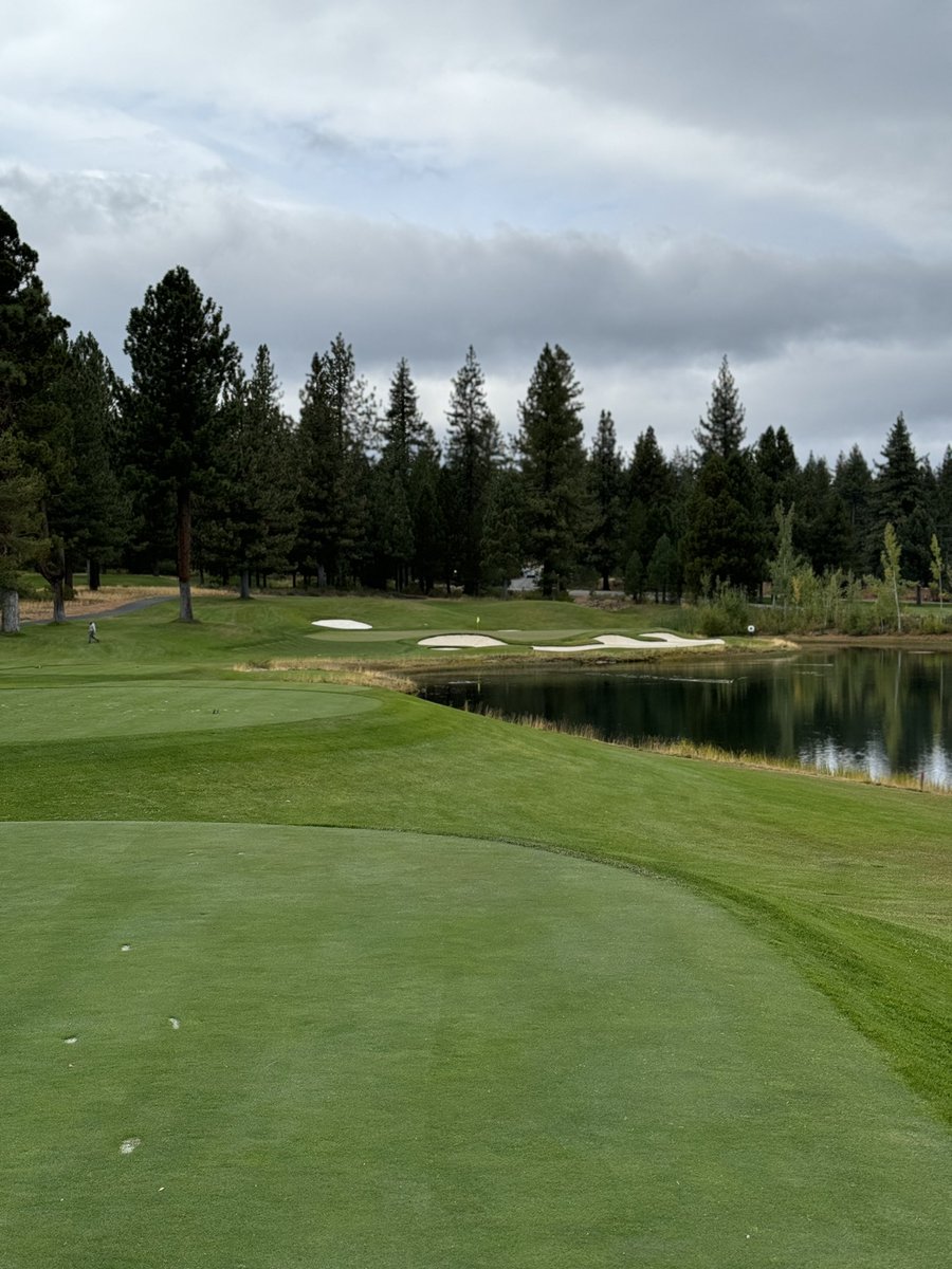 Nevada Men's Golf tweet media