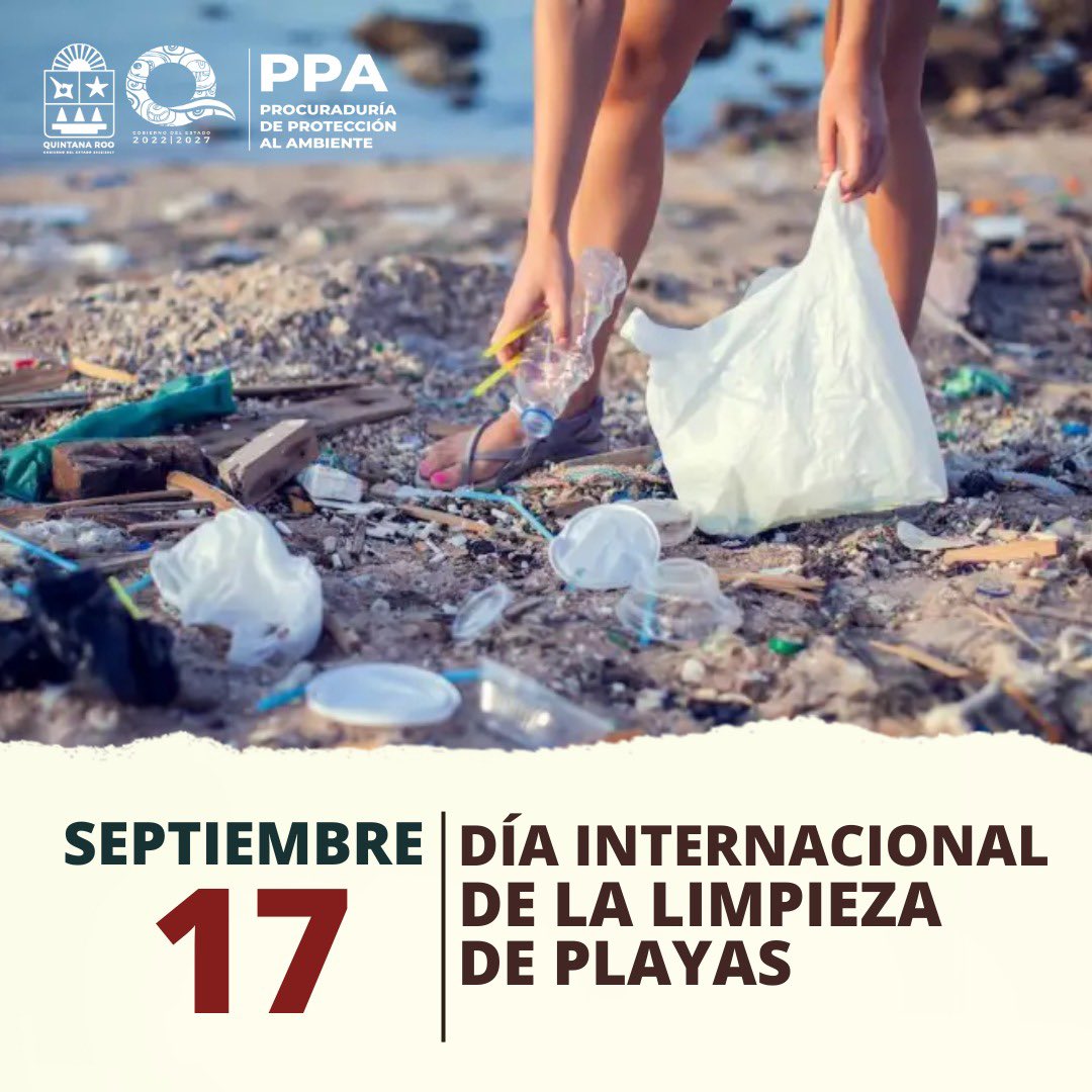 PPA Quintana Roo tweet media