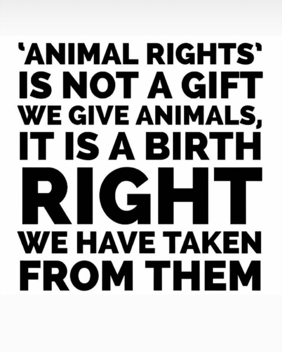 AnimalandLandXO's tweet image. 