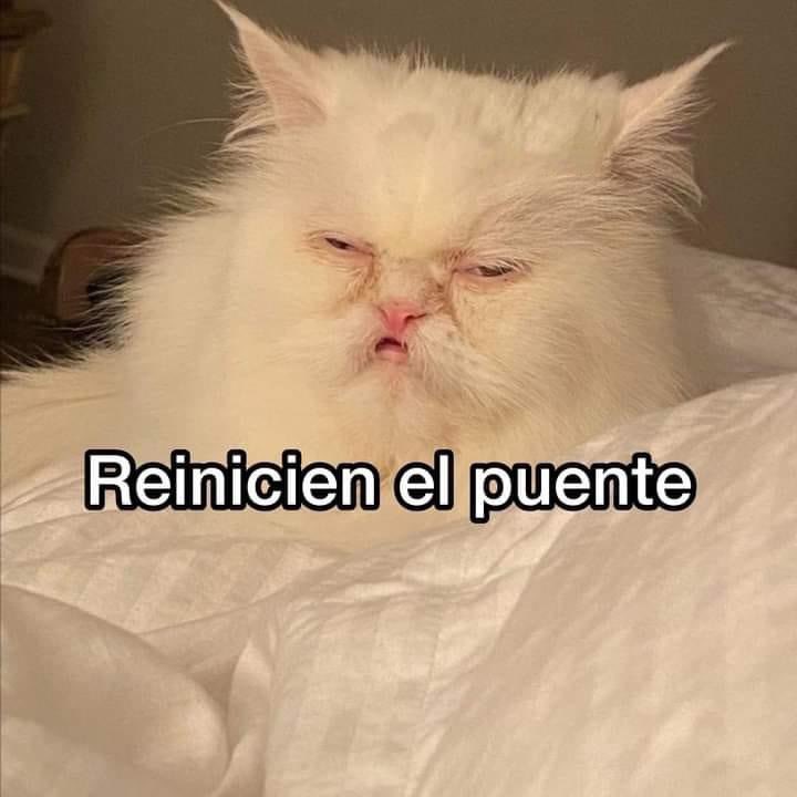 ElJeringasLoko's tweet photo. paro https://t.co/4yb7swpbq7