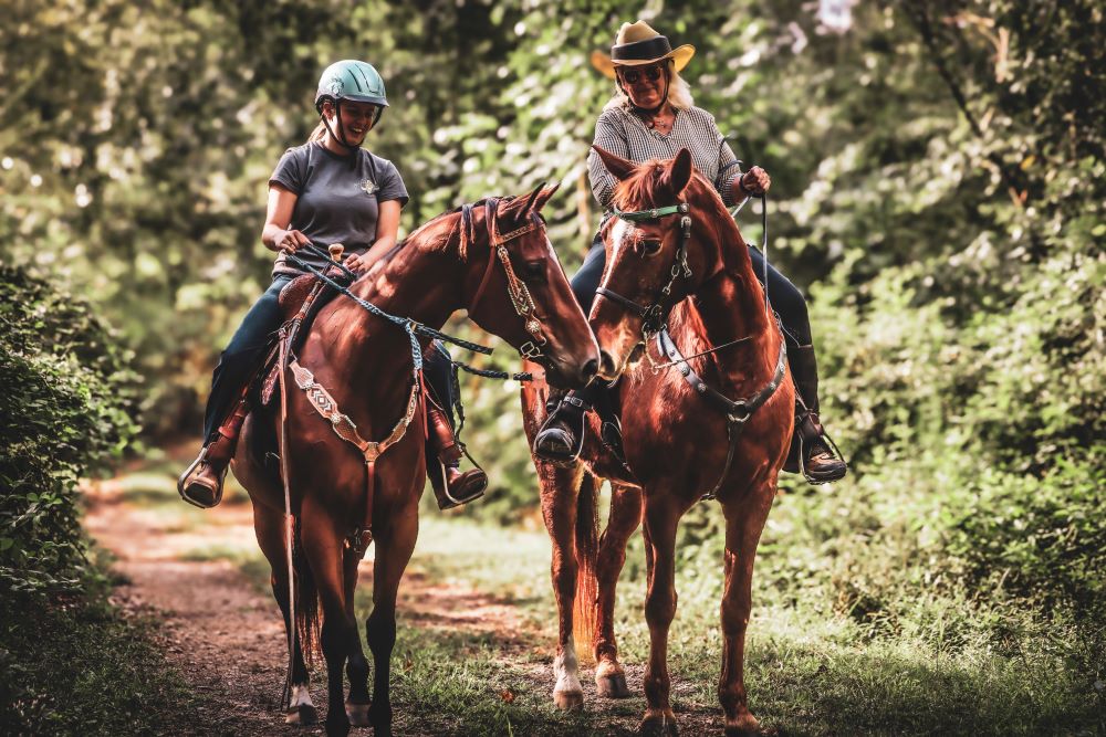 cobbcountygovt's tweet photo. Horses 🐎  - welcome to Stout Park, Cobb's new equestrian park with show-rings and equestrian trails. There is also an open meadow for everyone. 
📍 5315 Brownsville Road, Powder Springs.

#cobbcounty #cobbparks #explorecobbparks #horses #equestrianphotography #animalphotography https://t.co/sWZB7bNHtw