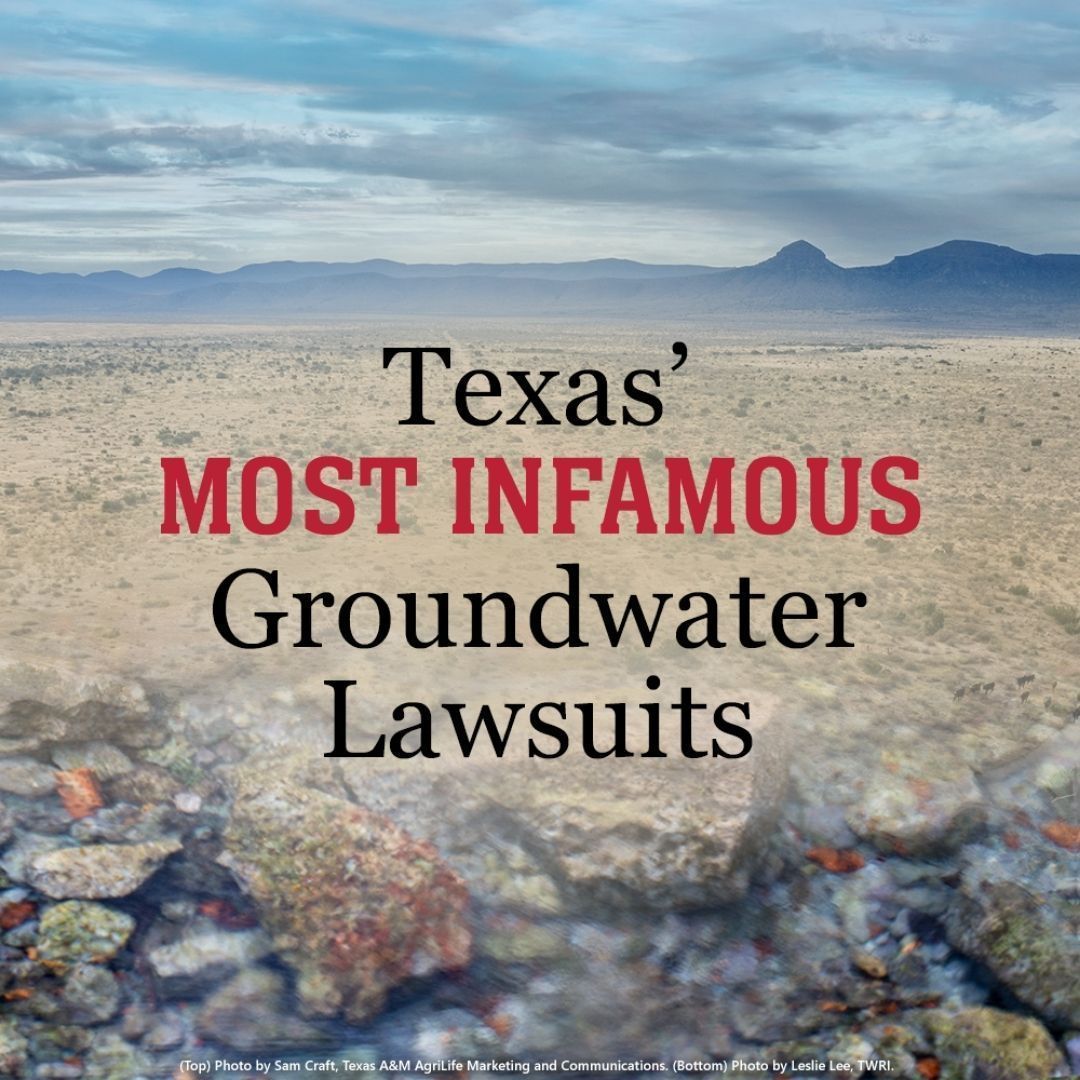 Texas Water Resources Institute tweet media