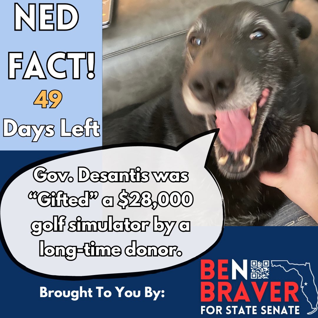 BenBraverFL's tweet photo. Quick Ned Fact for ya! https://t.co/qpritHap9t