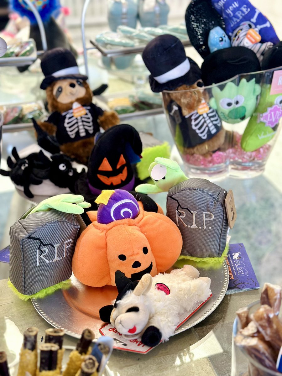 Vanderpump Dogs tweet media